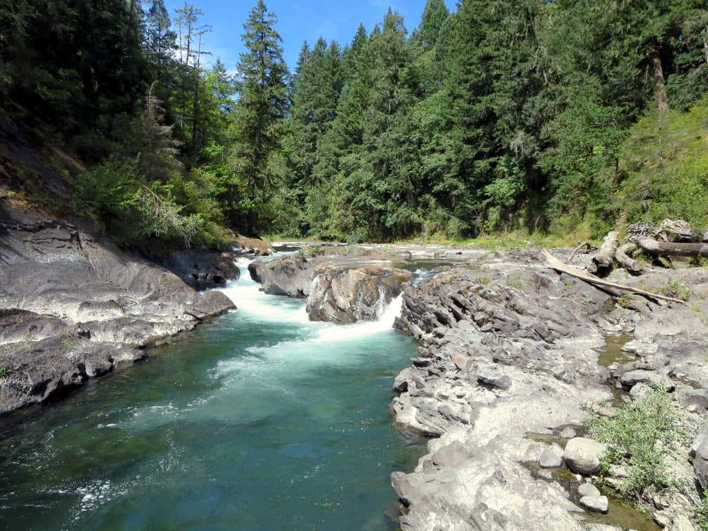 The Cowichan River — heart of the watershed. This river sustains forests, fish, and communities from the lake to the estuary. We partner locally because protecting shared water is part of peacemaking and community care.